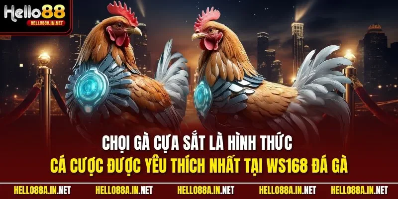 Chọi gà cựa sắt là hình thức cá cược được yêu thích nhất tại WS168 đá gà